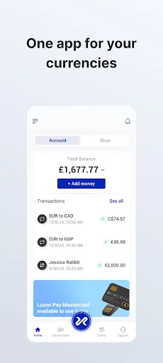 Luxon Pay