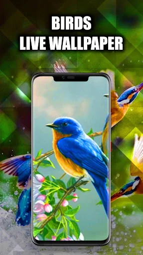 Birds Wallpaper Live 3D/HD/4K
