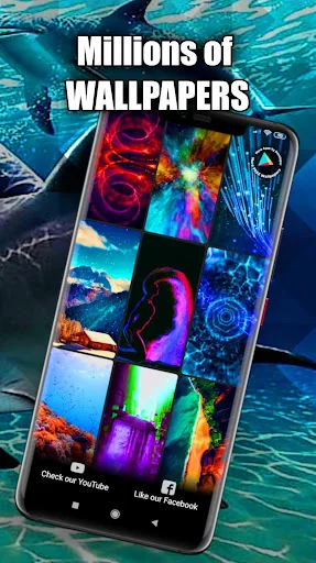 Dolphin Wallpaper Live HD/3D screenshot 3