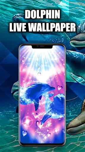 Dolphin Wallpaper Live HD/3D screenshot 4