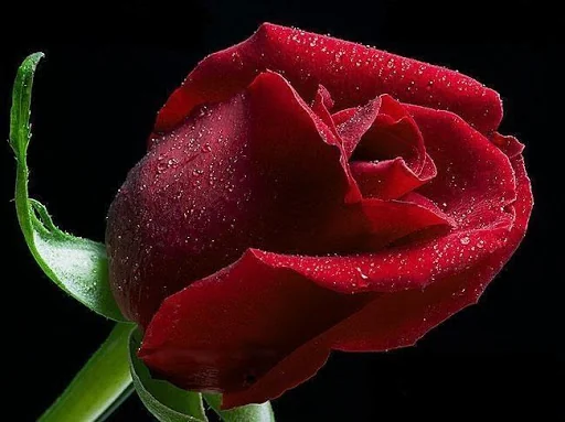 3D Wallpapers HD (Offline)