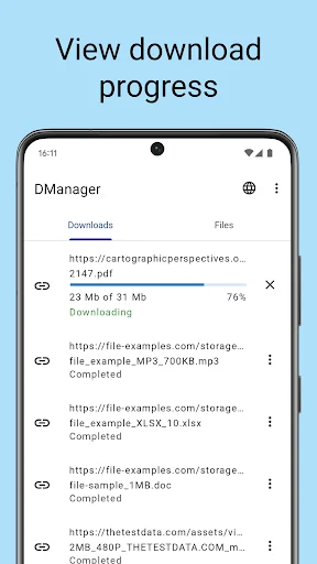 Download manager screenshot 2