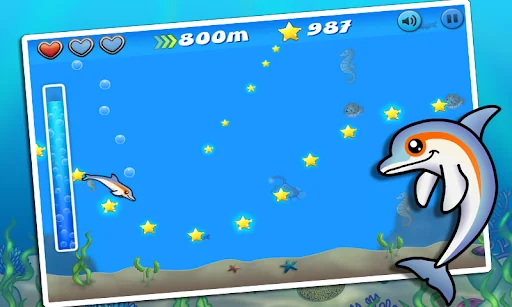 Dolphin