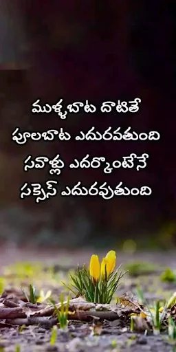 10000+ Motivational Inspiratio