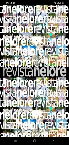 Revista Nelore
