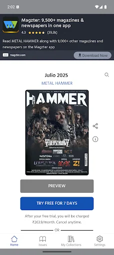 METAL HAMMER