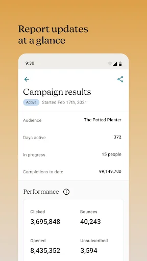 Mailchimp Email Marketing