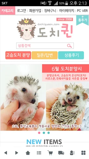 도치퀸 -고슴도치,햄스터용품 쇼핑몰