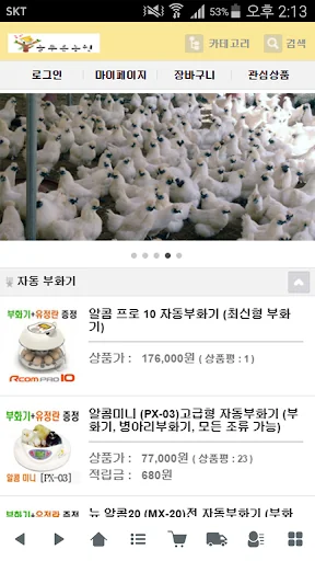늘푸른농원 - goldgreenfarm