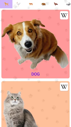 Animal Sounds