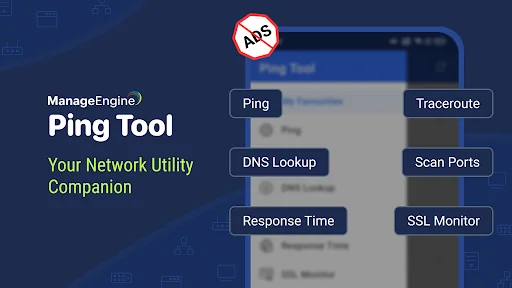 Ping Tool - DNS, Port Scanner
