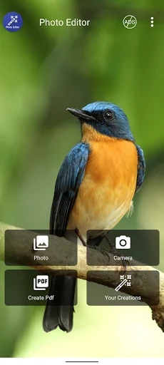 Photo Editor