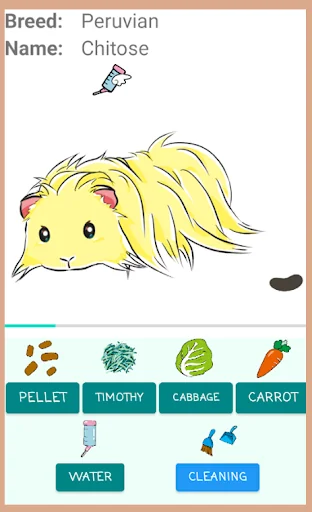 Let`s raise a guinea pig!