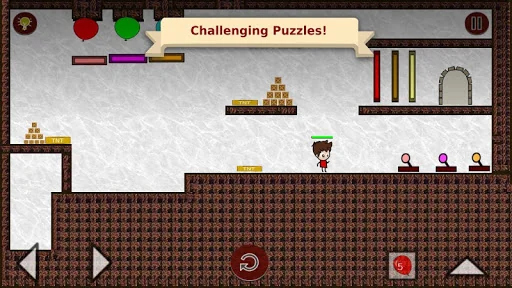 Gate Puzzle