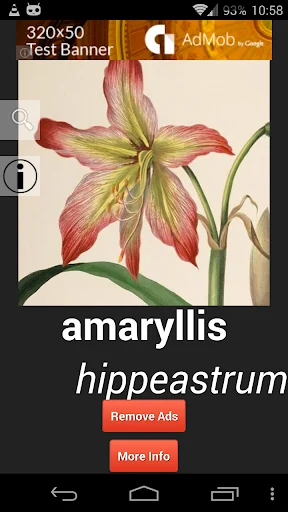 Flowers Dictionary