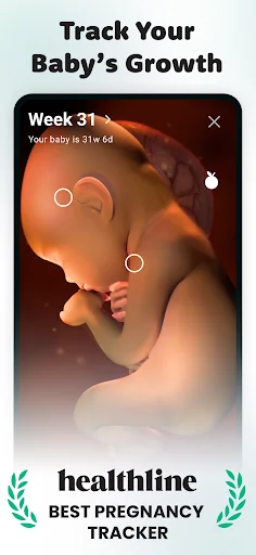 Pregnancy Tracker by Sprout screenshot 1