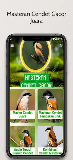 Masteran Cendet Gacor Juara