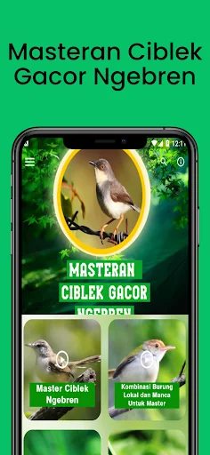 Masteran Ciblek Gacor Ngebren