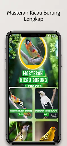 Masteran Kicau Burung Lengkap