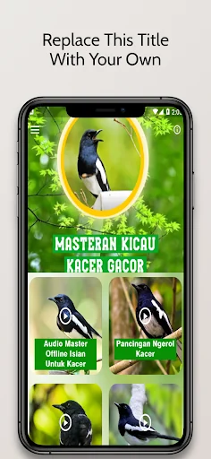 Masteran Kicau Burung Kacer