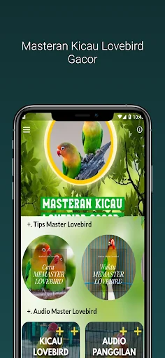 Masteran Kicau Lovebird Gacor