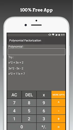 Polynomial Factorization