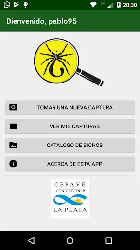 ¿Es araña o escorpión?