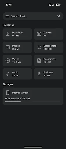 File Explorer