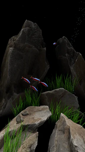 Nano Aquarium