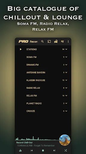 Chillout & Lounge music radio screenshot 1