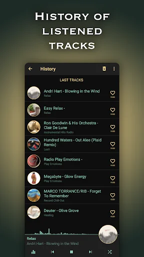 Chillout & Lounge music radio screenshot 2