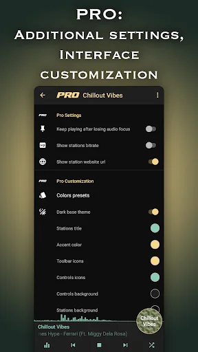Chillout & Lounge music radio screenshot 4
