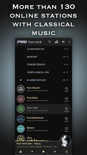 Classical Music Radio screenshot 1