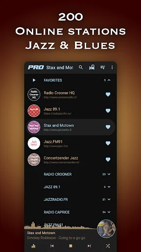 Jazz & Blues Music Radio screenshot 1