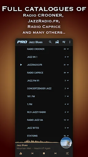 Jazz & Blues Music Radio screenshot 2