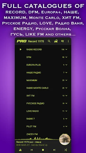 Radio: Record,Europa,Nashe,DFM screenshot 2