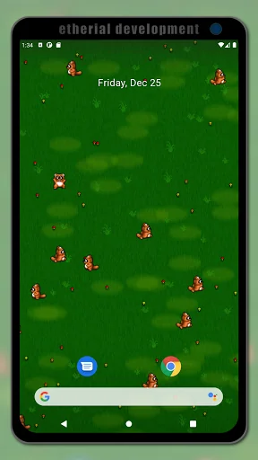 Raccoon live wallpaper screenshot 1
