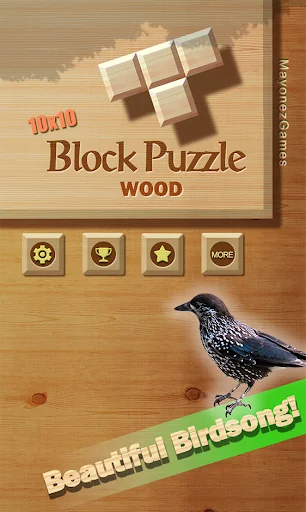 Block Puzzle Wood 1010