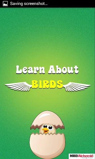 Learn Birds Name