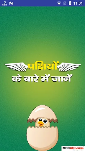 पक्षियों के बारे में जानें