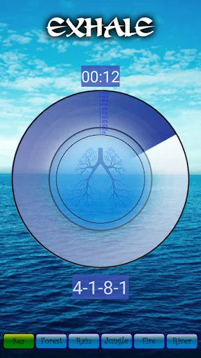 Breathing Yoga Pranayama screenshot 4