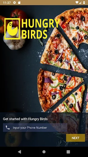 Hungry Birds