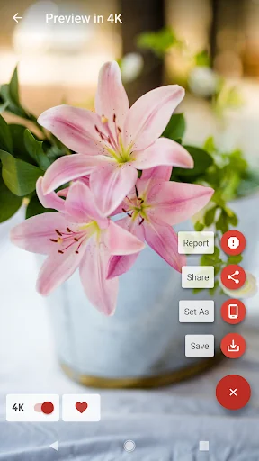 Real 4K Wallpapers screenshot 1