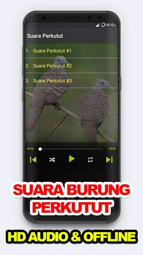 Suara Burung: Kicau Perkutut