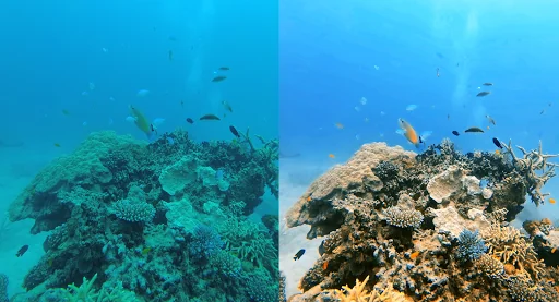 UwEdit - Diving footage editor screenshot 1