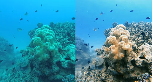 UwEdit - Diving footage editor screenshot 3