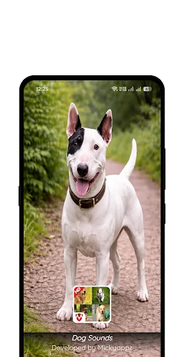 50 Dog sounds