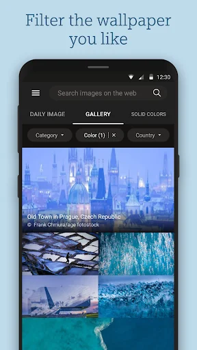 Bing Wallpapers