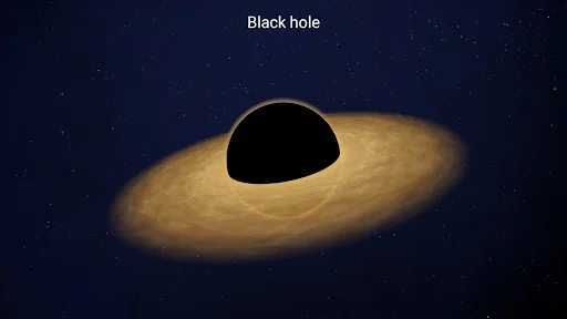 Black Holes