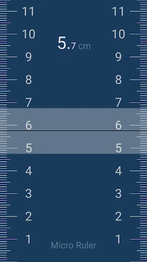 Micro Ruler